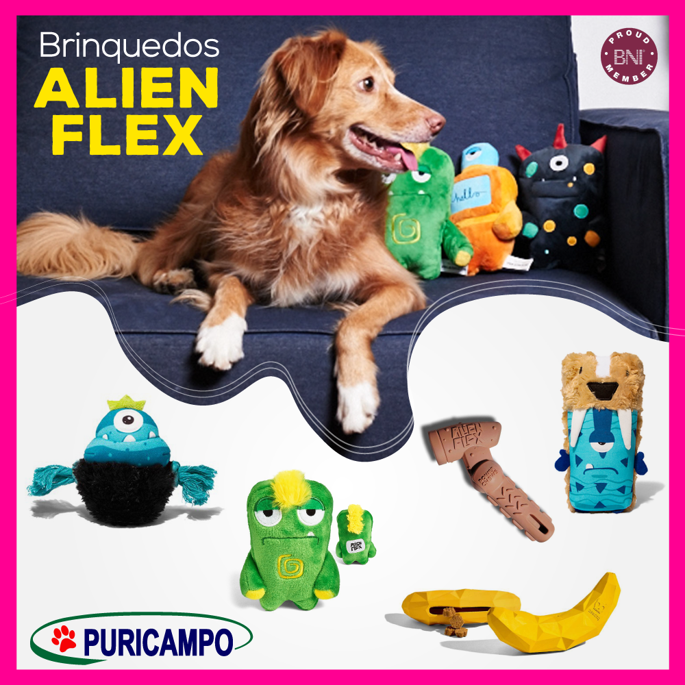 Brinquedos fofinhos, seguros e divertidos para seu cão brincar você  encontra aqu - Puricampo A maior Loja de Pet Shop de Barretos e Região